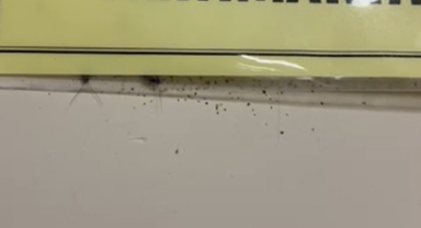 Yeni bir skandalla gündemde: DEÜ Hastanesi’nde hijyen krizi! 