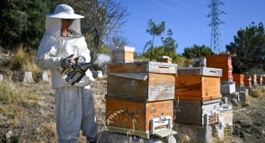Bornova’da Arıcılık kursu kayıtları başladı: kendi balını üret, doğaya katkı sağla