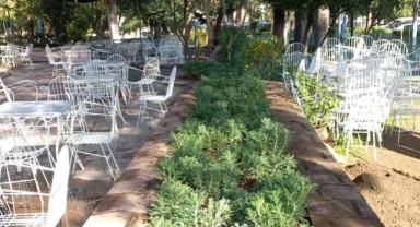 Büyükşehir'den Manisa'nın yeşil alanlarına peyzaj düzenlemesi