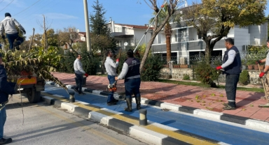 Büyükşehir, kent genelinde budama çalışmalarına devam ediyor