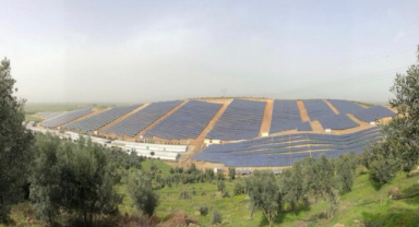 Kara Kartal’a İzmir’den arazi: Yüzlerce ağaç kesilecek!