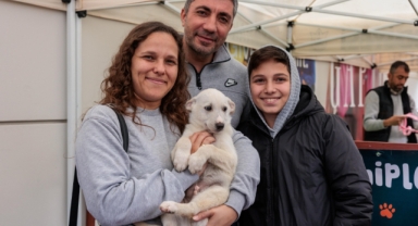 Konaklı can dostlara yeni yılda sıcak yuva