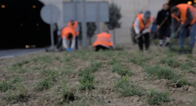 Kuraklıkla mücadele sürüyor: İzmir’in yeşil örtüsünde dönüşüm! 