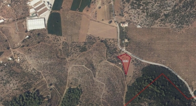 Menderes’te iki milyon liralık satış: Tarla vasıflı arazi vitrinde!