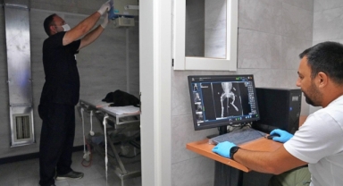 Büyükşehir can dostlara umut oldu