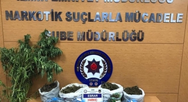 İzmir'de uyuşturucu operasyonu: Bir tutuklu 