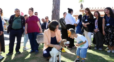 Karabağlar Belediyesi’nden sokak hayvanlarına modern hizmet
