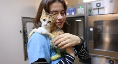 Ağır yaralarına rağmen yaşama tutundu, adı 