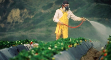 Türkiye'nin 'gıda güvenliği' karnesi: Laboratuvarlar yetersiz, kayıt ve kontrol yok