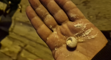 Polisten eylemcilere sert müdahale: Plastik mermi sıkıldı!