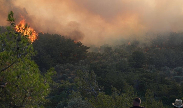 Urla'da mücadelenin ikinci günü: Yangın devam ediyor!