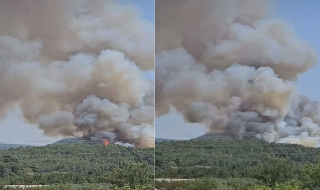 Menderes'te yangın başladı: Havadan ve karadan müdahale sürüyor!