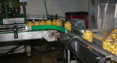 Türk zeytincilik sektörü, ABD’ye ihracatını yüzde 56 artırdı!