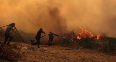 Yurttaşlar 'Yeşil Vatan' için harekete geçti: Dört günde bin 600 başvuru!