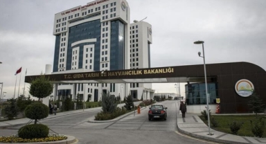 Bakanlığın ifşa listesine 7 ürün daha eklendi: Bal, çay, peynir, pekmez...