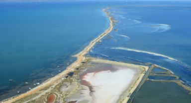 Başkan Saygılı'dan Sasalı planları müjdesi!