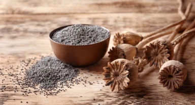 İTB Meclisi'nden bakanlığa sitem: Haşhaş ellerimizde kaldı, destek yok