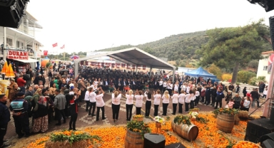 Menderes Mandalina Festivali İle Coşacak