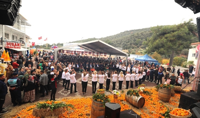 Menderes Mandalina Festivali İle Coşacak