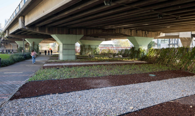 80 futbol sahası büyüklüğündeki alanda dönüşüm tamam