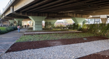 80 futbol sahası büyüklüğündeki alanda dönüşüm tamam