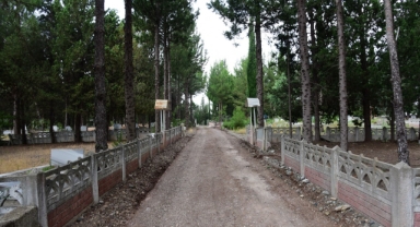 İki genç mezarlıkta ölü bulundu!