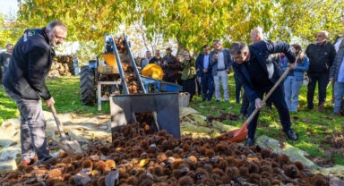 İzBB, üreticiye desteğini sürdürdü