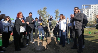 Karşıyaka’da zeytin fidanları toprakla buluştu
