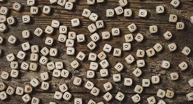 TDK halk oylamasına sundu: 2025'in kelimesini halk seçecek!