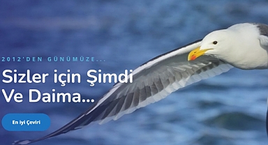 Transkript Çeviri Ücreti 2026: Öğrenci Belgeleri İçin İndirimli Fiyat Tarifesi