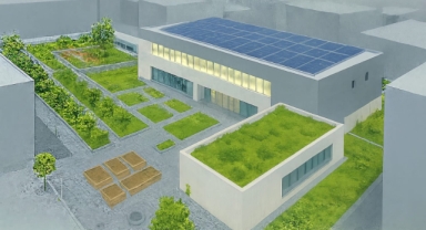 İzmir'in çatılarında yeşil devrim başlıyor!