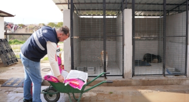 Kemalpaşa'da can dostlar için önemli adım 