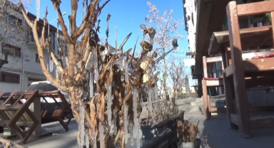 Termometreler eksi 28'i gösterdi: Hayat adeta durdu!