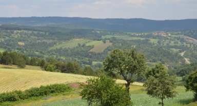 Türkiye çevreyi korumada sınıfta kaldı 