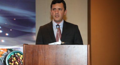 Zeytin ve zeytinyağı ihracatında yüzde 49'luk düşüş!