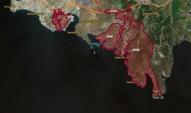 Bakanlığa yapılan ormanlık alan tahsisleri mercek altında!