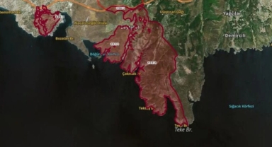 Bakanlığa yapılan ormanlık alan tahsisleri mercek altında!