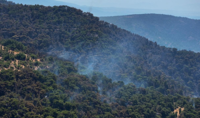 Yamanlar iddialarına Orman Bölge Müdürlüğü'nden yalanlama!