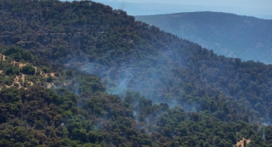 Yamanlar iddialarına Orman Bölge Müdürlüğü'nden yalanlama!