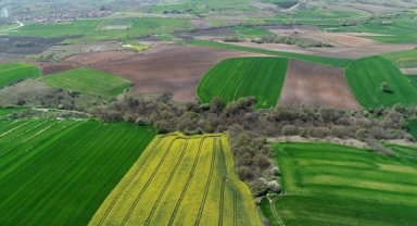 Bergama'nın 5 mahallesinde arazi düzenlemesi!