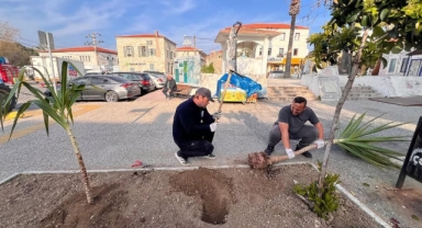  Foça Belediyesi’nden kent estetiğine güçlü dokunuş 