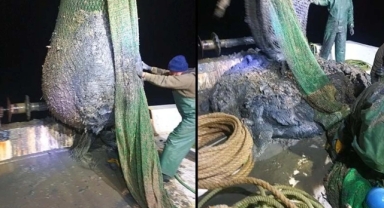 Foça'daki Körfez çamuru iddialarını belediye reddetti!