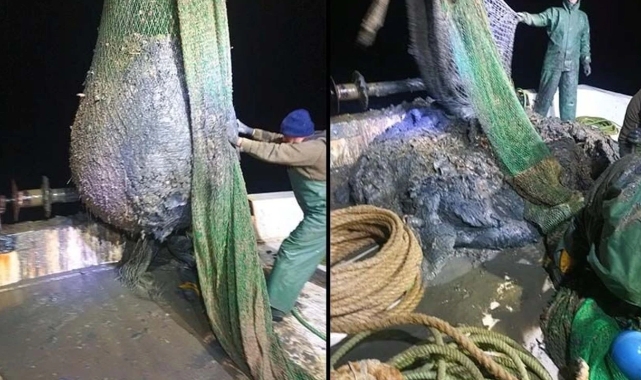 Foça'daki Körfez çamuru iddialarını belediye reddetti!