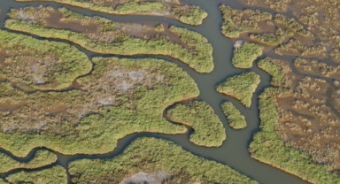 Gediz Nehri'nin kirliliğini en çok çeken il İzmir!