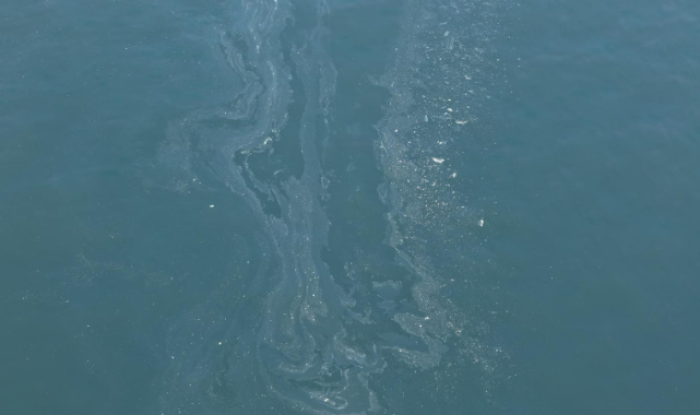 Körfez temizliği için yeni uygulama: Sensörlü kameralar kurulacak!