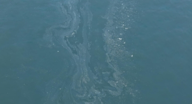 Körfez temizliği için yeni uygulama: Sensörlü kameralar kurulacak!