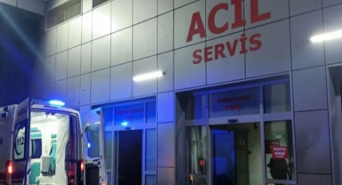 Artvin’de ambulans uçuruma devrildi: 1 ölü, 4 yaralı