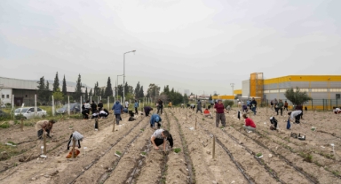 Bornova’da umut toprakla büyüyor
