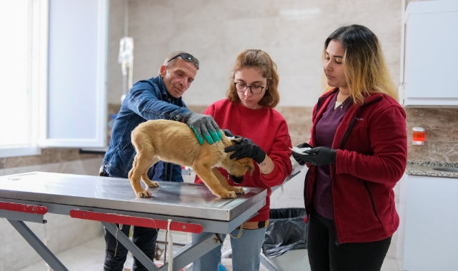 Can dostlar için Menemen'de rekor tedavi sayısına ulaşıldı