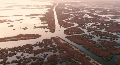 Gediz Havzası'nda kirlilik artıyor!